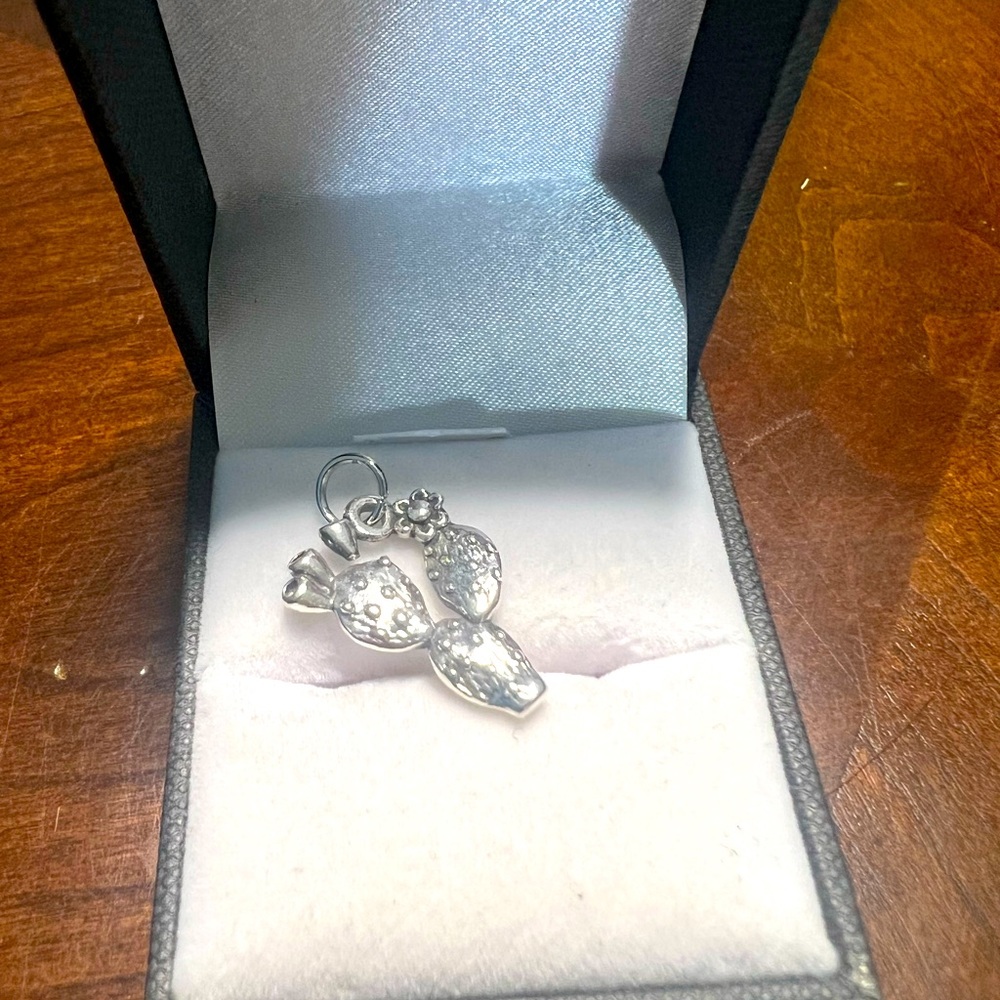 James Avery 🌵 cactus charm